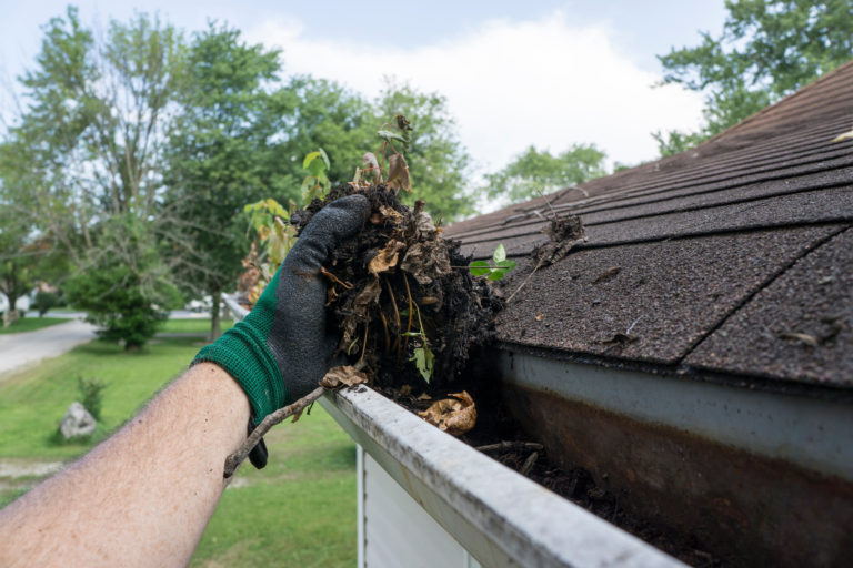 7 Benefits of Professional Gutter Cleaning Services