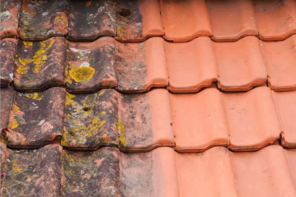 Homeowner's Guide How to Get Stains Off the Roof